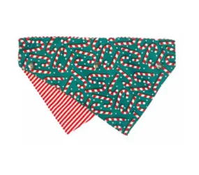 Fuzzyard Holiday Bandana - Candy Cane