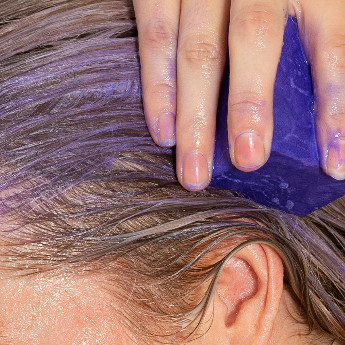 Purple Shampoo Bar for Brassy Blonde and Gray Hair: Tone It Down