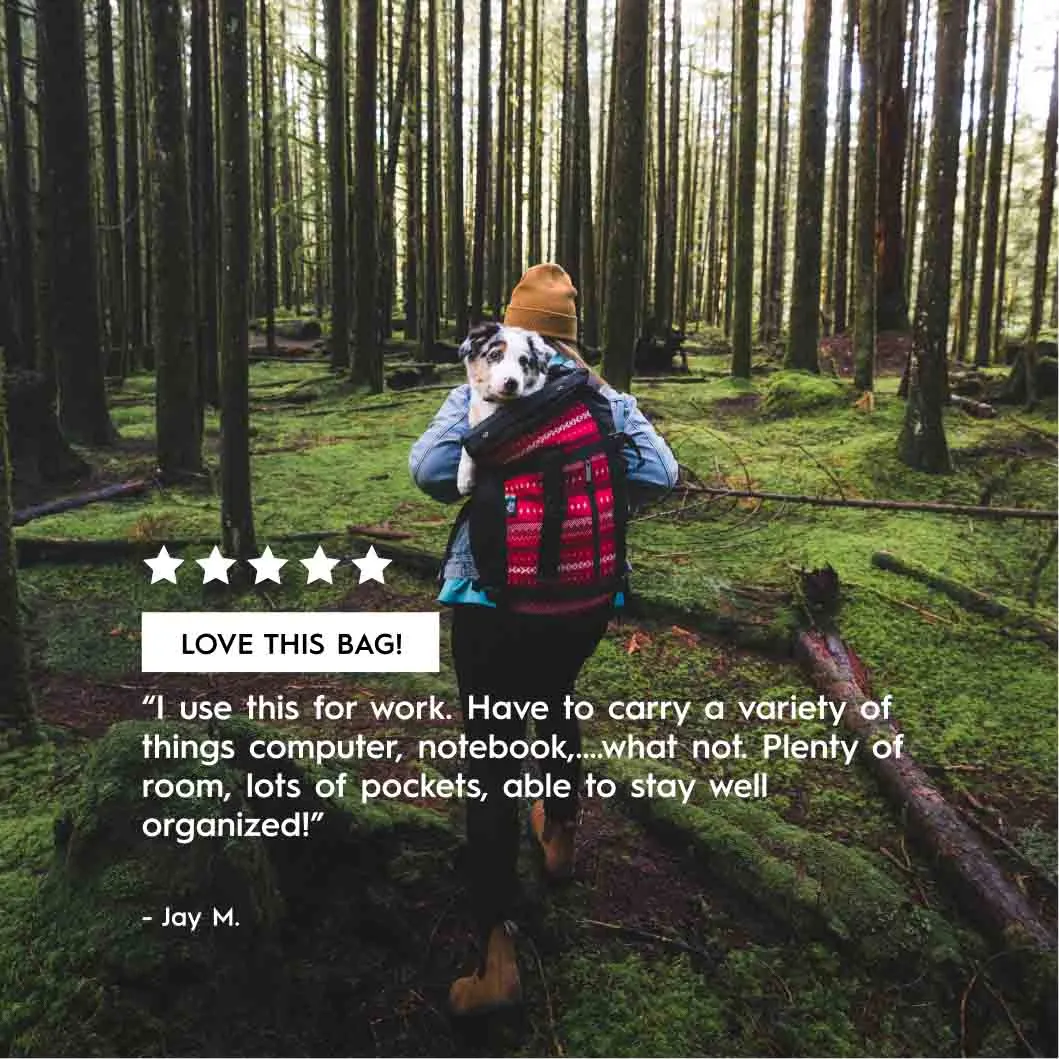 Raja 46 Travel Backpack