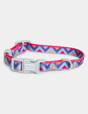 Raver Dog Collar Small